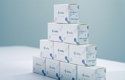 HIV-1p24 ELISA检测试剂盒